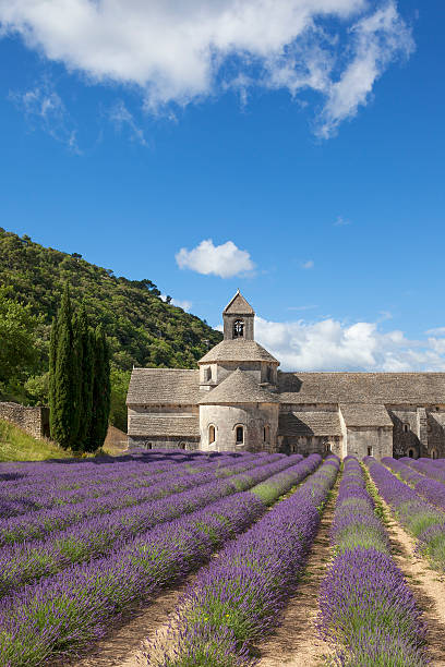 istock Abbey of Senanque in summer light 532832025