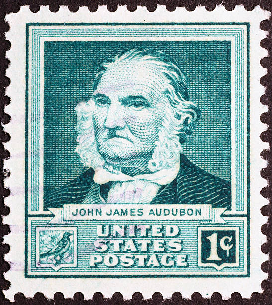 istock John James Audobon on old US postage stamp 532834487