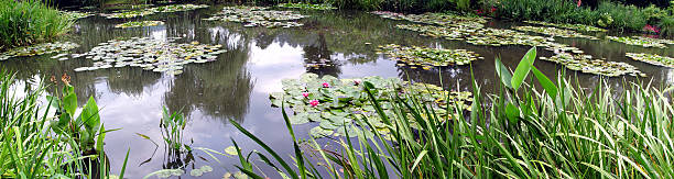 Panorama of Claude Monet's gardens, Giverny, France Panorama of Claude Monet's gardens, Giverny, France foundation claude monet photos stock pictures, royalty-free photos & images