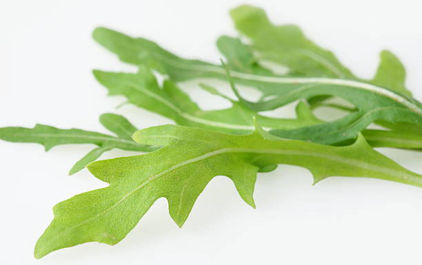 istock The leaves of rucola. 532849419