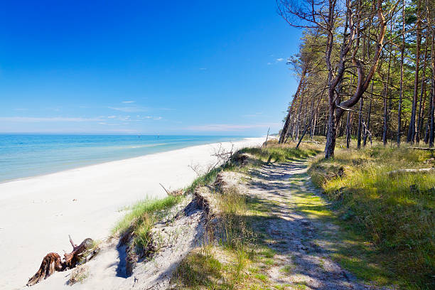 istock Polish seashore, Baltic sea 532849665
