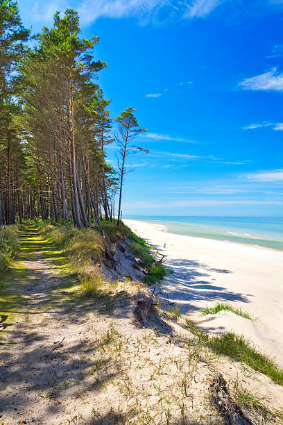 istock Polish seashore, Baltic sea 532849667