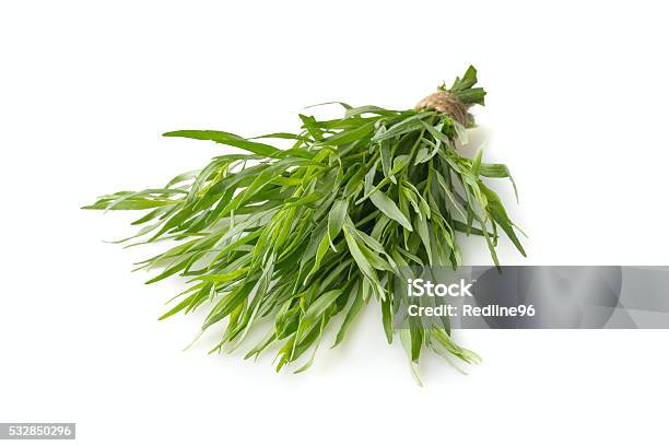 Estragon Bunch On A White Background Stock Photo - Download Image Now - White Background, Agriculture, Artemisia