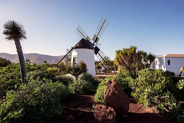 Photo of Fuerteventura, Canary Islands, Spain