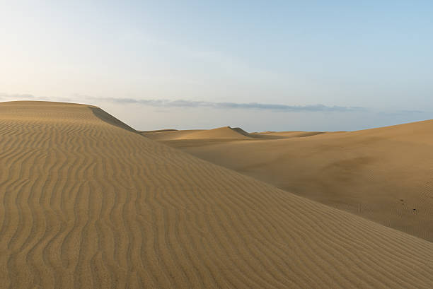 istock Desert - landscape with sand dunes 532850998
