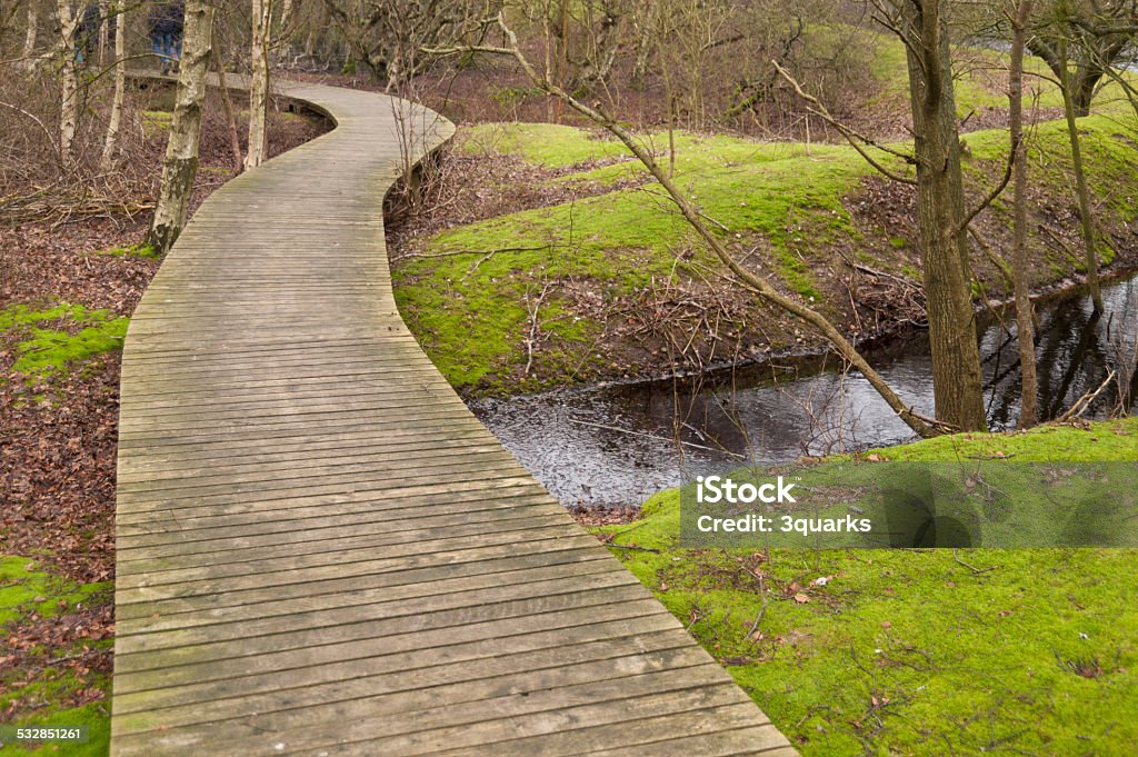 Pond on Amrum Pond on North Frisian Island Amrum in Germany 2015 Stock Photo