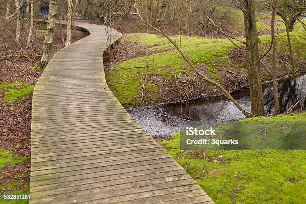 Pond On Amrum Stock Photo - Download Image Now - 2015, Amrum, Boardwalk