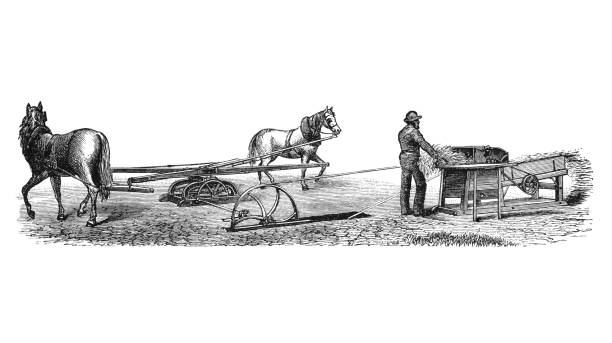 horse-powered threshing machine Illustration of a horse-powered threshing machine threshing stock illustrations