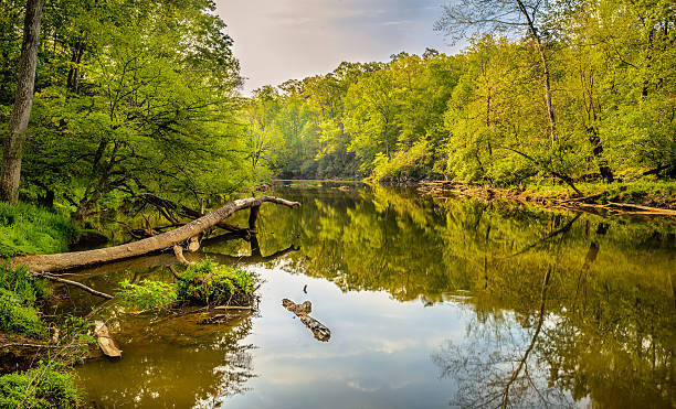 Eno River State Park Walking through the trails at Eno River state Park has caught me to this beautiful spot, where the almost still and slowly moving water has catch amazing reflections of the scenery. This natural park has been called as one of the best regional parks which is located in the city of Durham in North Carolina, just few miles away from Duke University. Enjoy the beauty of nature, fresh air and wildlife as you walk through this park. eno river stock pictures, royalty-free photos & images