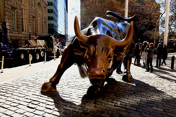 Charging Bull New York, NY, USA - November 19, 2014: Charging Bull: The Charging Bull of Wall Street bronze statue located on Broadway Street in the Financial District of Lower Manhattan in New York City, New York, USA. Skyscrapers in background. Daytime image. bull animal photos stock pictures, royalty-free photos & images