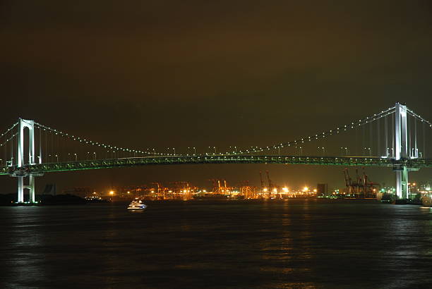 istock Night panorama of Tokyo Bay with Rainbow Bridge 532855203