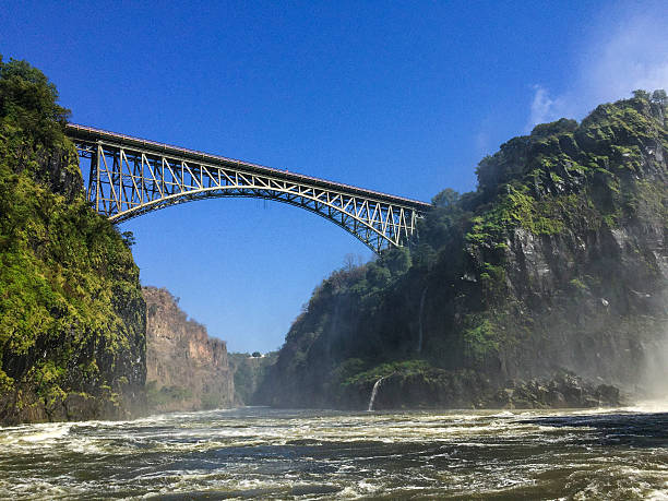 メタル、川の橋に囲まれた緑の木 - victoria falls waterfall zimbabwe zambia ストックフォトと画像