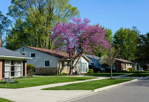 Rochester, Michigan, USA - May 18, 2016: A typical middle class neigborhood in Rochester, Michigan on a sunny day in late spring.