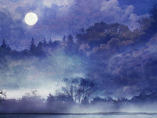 フェアリーの森 - 夜空 月 幻想 ストックフォトと画像
