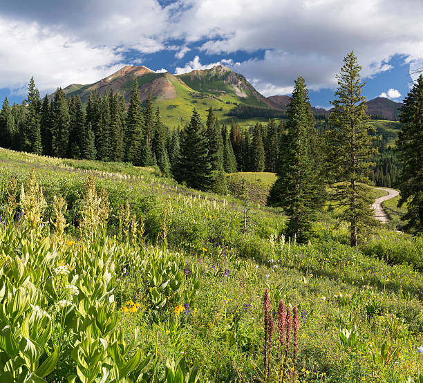 istock Mount Bellview from Gothic Campground in Colorado 532865072