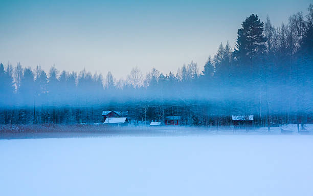 istock Foggy blue hour in wintertime 532867499