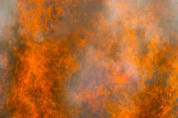 istock Outdoor burning fire and open flame 532867684