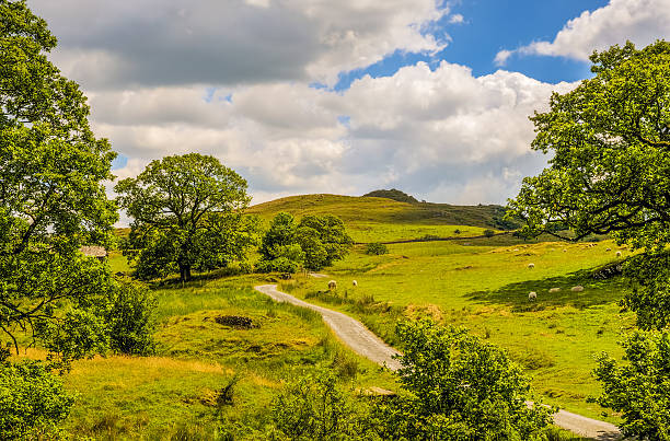 istock Scenic green countryside landscape 532868709