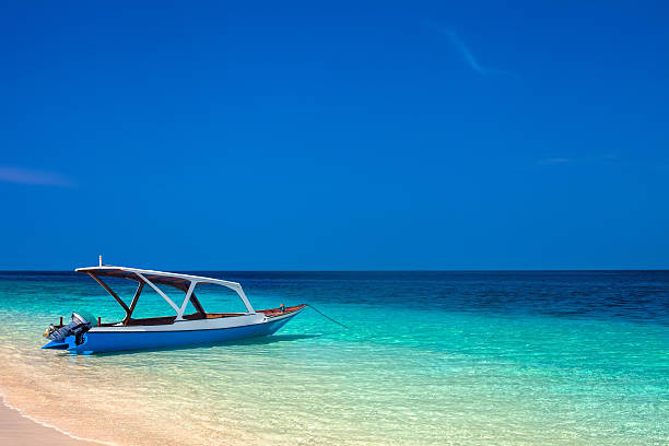 istock boat on a beautiful tropical beach 532868746