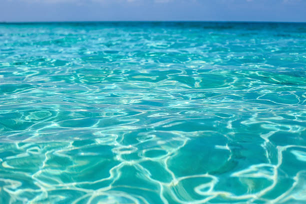 istock Tropical sea water with bright sun light reflections. Sea backgr 532868860