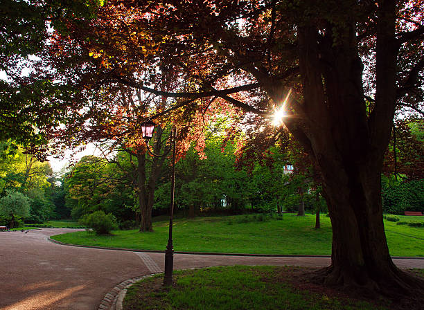 istock Beautiful sunny evening in green city park 532869982