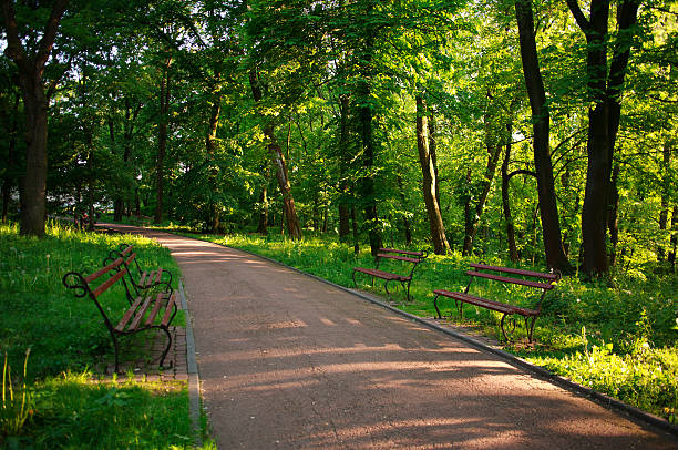 Beautiful sunny evening in the green city park