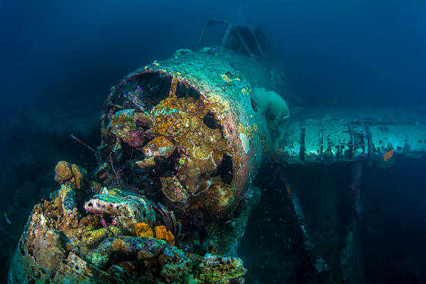 istock II World War Japanese Sea Plane 532870821