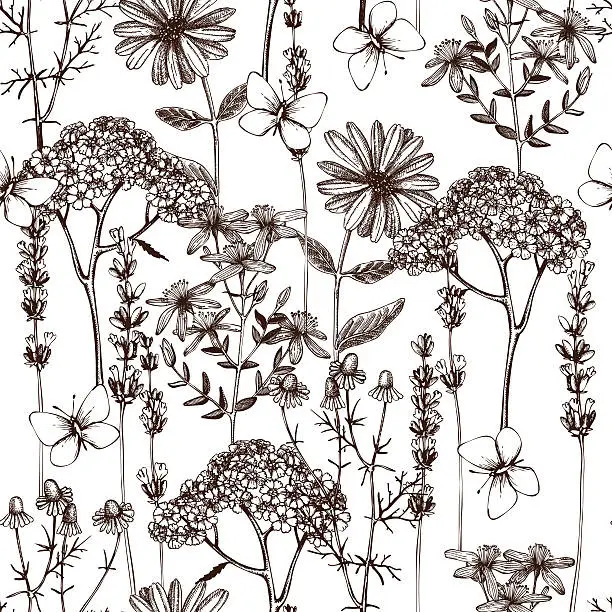 Vector illustration of herbs flowers and butterflies sketch