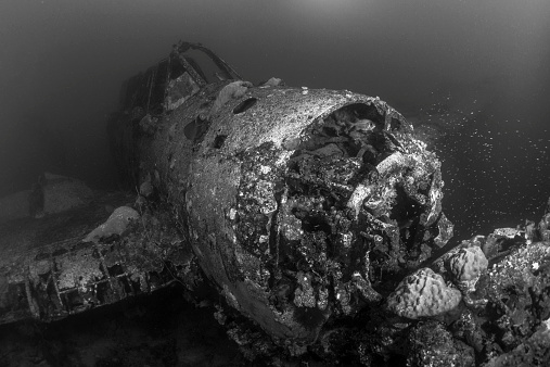 Jake - Aichi E13A1-1 Navy Floatplane. Beautiful scenario of a II WW Japanese seaplane sunken in Palau - Micronesia. The Jake, name given by the allies, could be found in many lagoons where the land mass did not support an airfield, but they also operated from cruisers and battleships. The Jake is located Northwest of Palau Pacific Resort, 500 yards west of Meyuns sea ramp