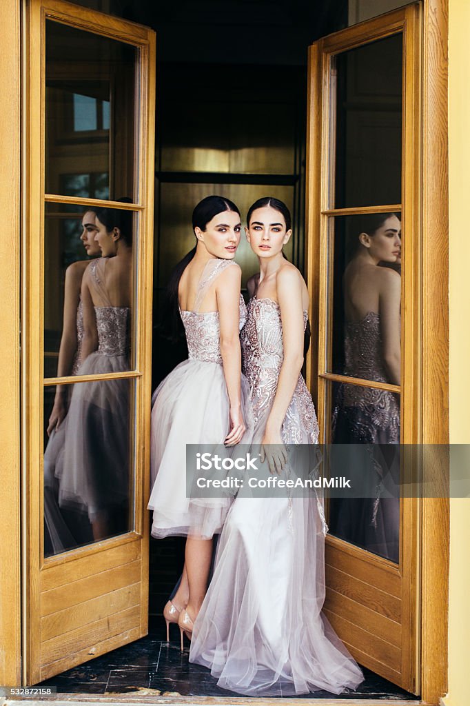Dos Hermosas Chicas Usando Vestidos Foto de stock y más banco de imágenes de Alta costura - Alta costura, Modelo de modas, Moda - iStock Dos Hermosas Chicas Usando Vestidos Foto de stock y más banco de imágenes de Alta costura - Alta costura, Modelo de modas, Moda - iStock