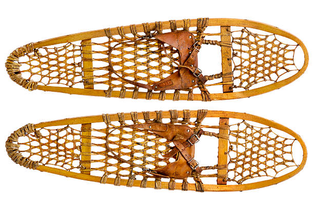 istock Bear Paw snowshoes 532874057