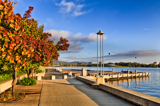 Waterfront boardwalk along autumn foliate trees in red and yellow colours on a warm sunny mornings in Canberra city centre around Burley Griffin lake.