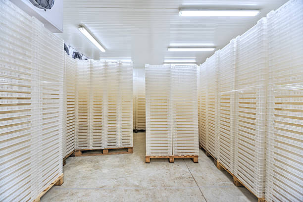 Inside of Big Industrial Refrigerator Storage at -30 Celcius Stacked meat and burger packs are at -30 degrees celcius in a meat processing factory. Big Industrial refrigerator or dryer for any kind of food, meat, fruit or vegetable. From -10 to -80 degrees celcius. refrigeration business air conditioner factory stock pictures, royalty-free photos & images