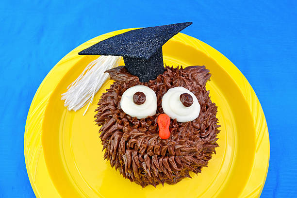 Owl Cupcake for Graduation stock photo