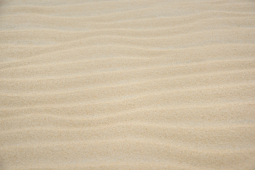 Sand marked by wind action forming a textured pattern as a background.