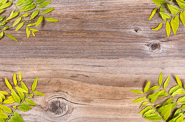 istock Small leaves in all corners of rustic wooden board 532880152
