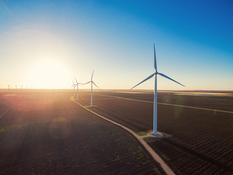 Sun rises on row of wind turbines. The sky is clear and blue.