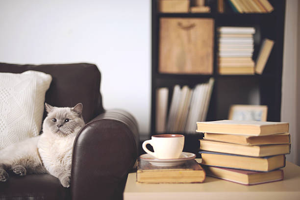 pile de livres à la maison à l'intérieur - coffee table living room indoors comfortable photos et images de collection