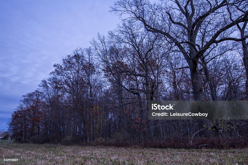 Fall landscape Entrance to a small forest in South Bend, Indiana in the fall.    2015 Stock Photo