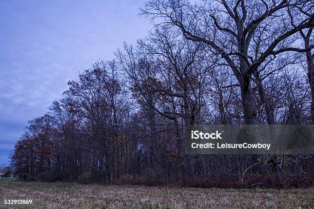 Fall Landscape Stock Photo - Download Image Now - 2015, Autumn, Forest