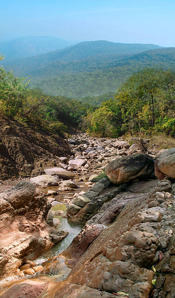 istock rocky shore of a mountain river 532916123