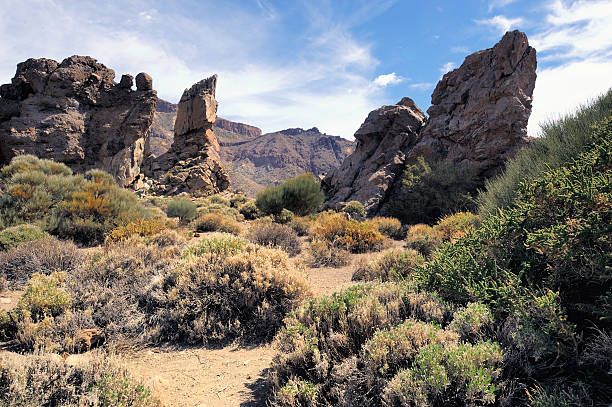 istock Volcanic formation.Teide, Tenerife 532917707