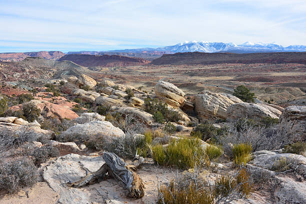istock Fiery Furnace Viewpoint at Arches National Park 532919487
