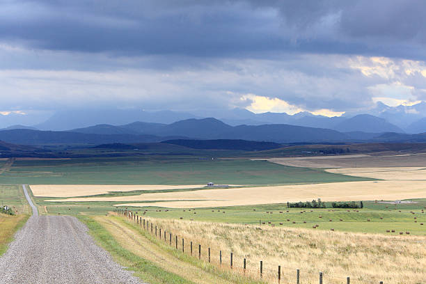 베네수엘라식 게레로 프레리 및 위치한 풍경 - southern alberta 뉴스 사진 이미지