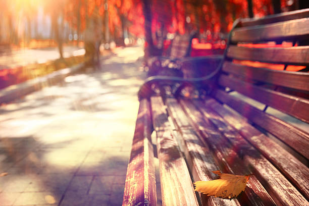 istock autumn park forest, landscape yellow 532935905