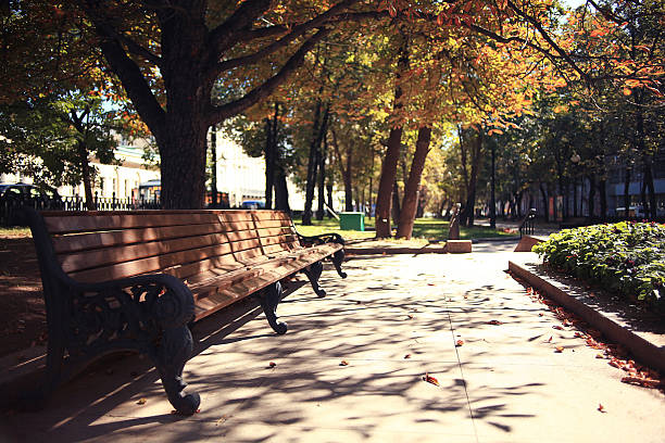 istock autumn park forest, landscape yellow 532935973