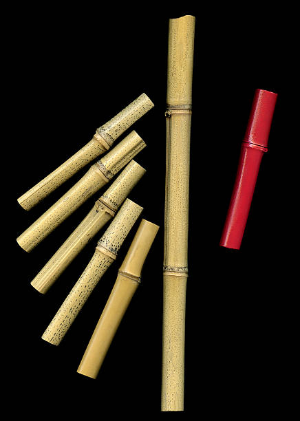 Espetos de bambu - foto de acervo