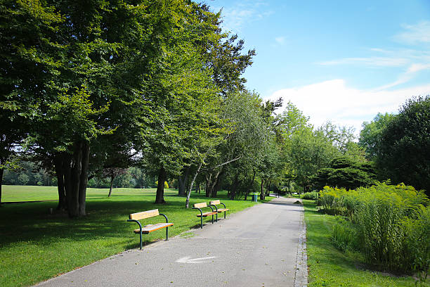 istock Donau Park Garden 532937209