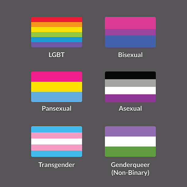 LGBT flags set Set of LGBTQA pride flags. Traditional rainbow flag, Bisexual, Pansexual, Asexual, Genderqueer (Non-binary) and Transgender symbols. Vector icons collection. lesbian flag stock illustrations