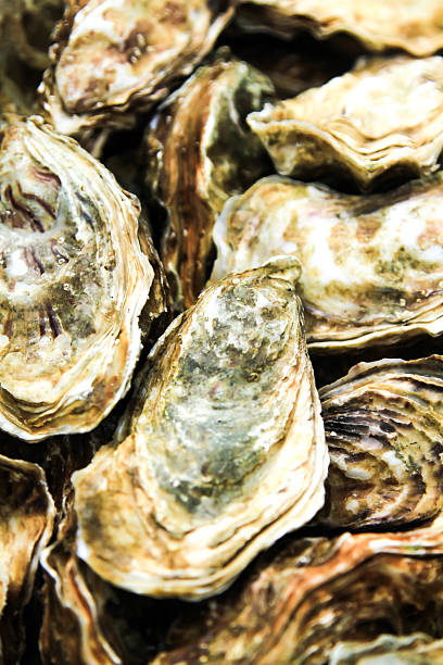 istock Oysters on stone plate with ice and lemon 532950214